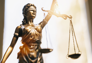 Expert Witness